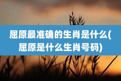 屈原最准确的生肖是什么(屈原是什么生肖号码)