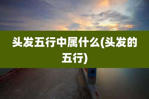 头发五行中属什么(头发的五行)