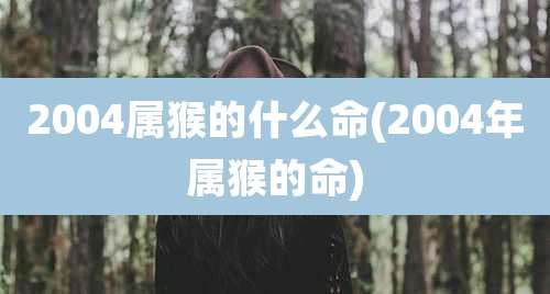 2004属猴的什么命(2004年属猴的命)