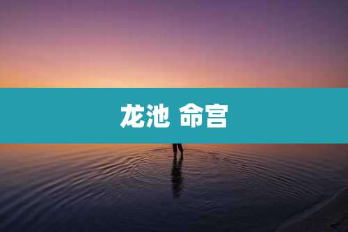 龙池 命宫