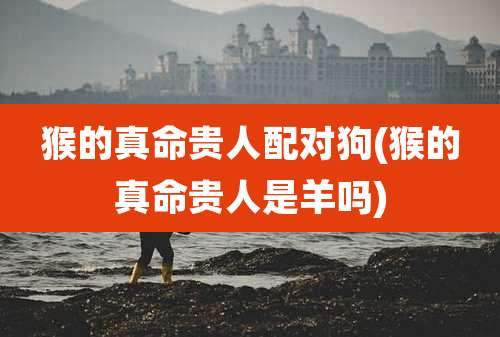 猴的真命贵人配对狗(猴的真命贵人是羊吗)