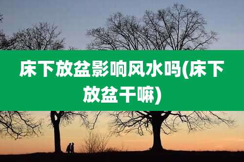 床下放盆影响风水吗(床下放盆干嘛)