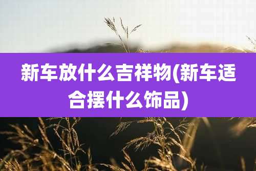 新车放什么吉祥物(新车适合摆什么饰品)