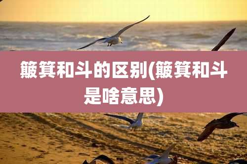 簸箕和斗的区别(簸箕和斗是啥意思)