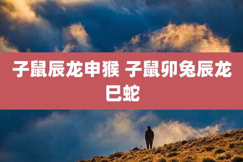 子鼠辰龙申猴 子鼠卯兔辰龙巳蛇