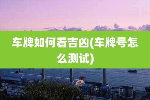 车牌如何看吉凶(车牌号怎么测试)
