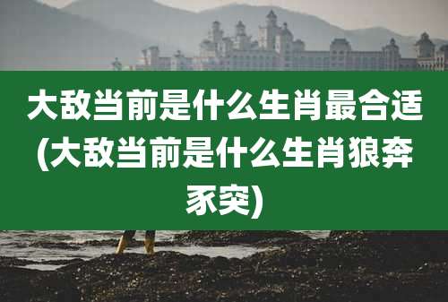 大敌当前是什么生肖最合适(大敌当前是什么生肖狼奔豕突)