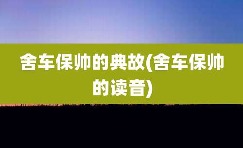 舍车保帅的典故(舍车保帅的读音)