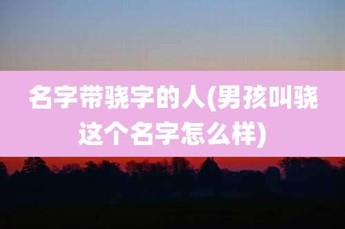 名字带骁字的人(男孩叫骁这个名字怎么样)