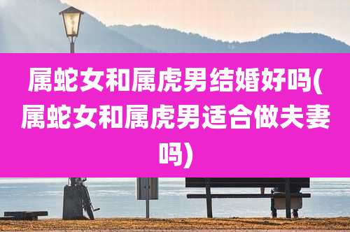 属蛇女和属虎男结婚好吗(属蛇女和属虎男适合做夫妻吗)