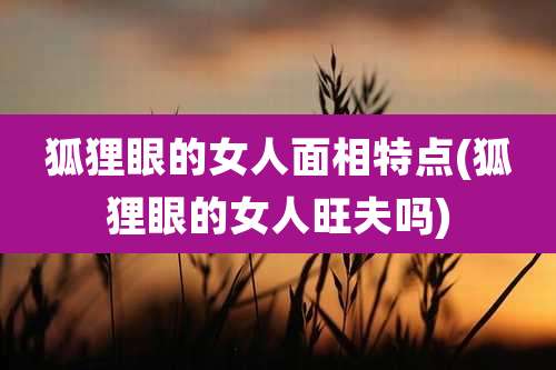 狐狸眼的女人面相特点(狐狸眼的女人旺夫吗)