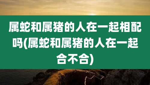 属蛇和属猪的人在一起相配吗(属蛇和属猪的人在一起合不合)