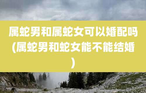 属蛇男和属蛇女可以婚配吗(属蛇男和蛇女能不能结婚)