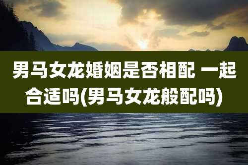 男马女龙婚姻是否相配 一起合适吗(男马女龙般配吗)