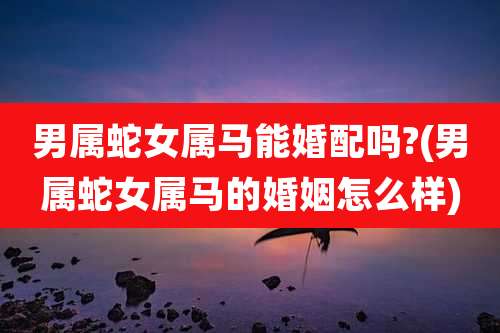 男属蛇女属马能婚配吗?(男属蛇女属马的婚姻怎么样)
