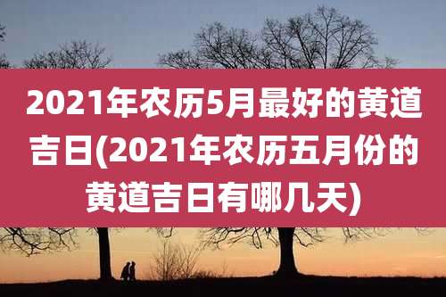 2021年农历5月最好的黄道吉日(2021年农历五月份的黄道吉日有哪几天)