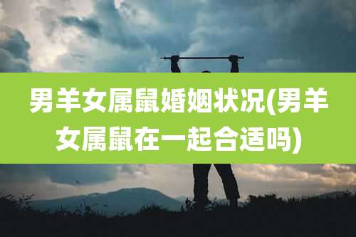 男羊女属鼠婚姻状况(男羊女属鼠在一起合适吗)