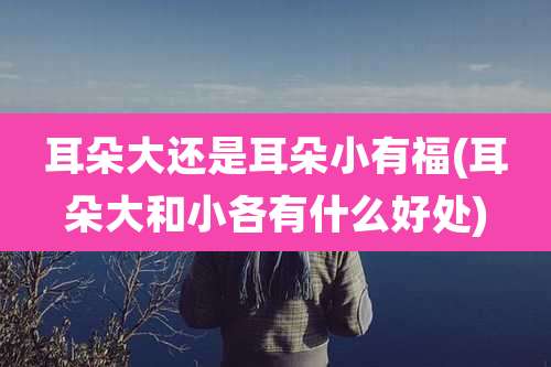 耳朵大还是耳朵小有福(耳朵大和小各有什么好处)