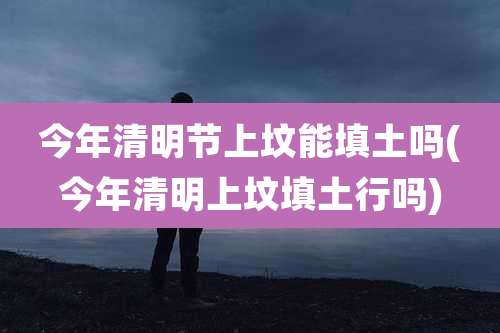 今年清明节上坟能填土吗(今年清明上坟填土行吗)