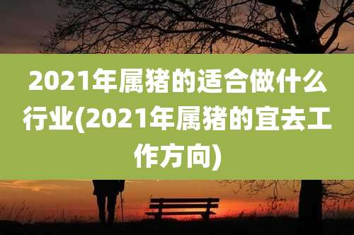 2021年属猪的适合做什么行业(2021年属猪的宜去工作方向)