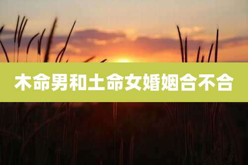 木命男和土命女婚姻合不合