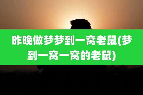 昨晚做梦梦到一窝老鼠(梦到一窝一窝的老鼠)