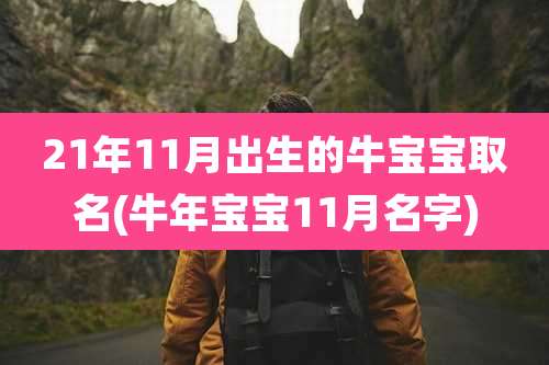 21年11月出生的牛宝宝取名(牛年宝宝11月名字)