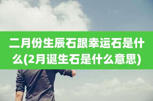 二月份生辰石跟幸运石是什么(2月诞生石是什么意思)