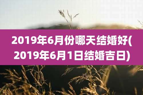 2019年6月份哪天结婚好(2019年6月1日结婚吉日)