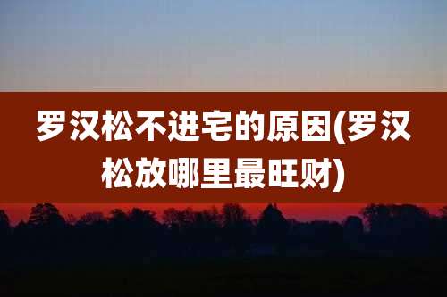 罗汉松不进宅的原因(罗汉松放哪里最旺财)
