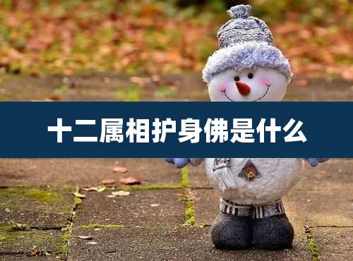 十二属相护身佛是什么
