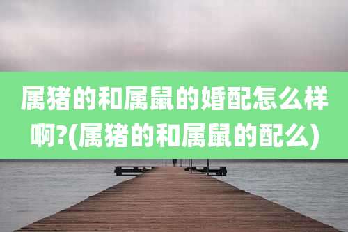 属猪的和属鼠的婚配怎么样啊?(属猪的和属鼠的配么)