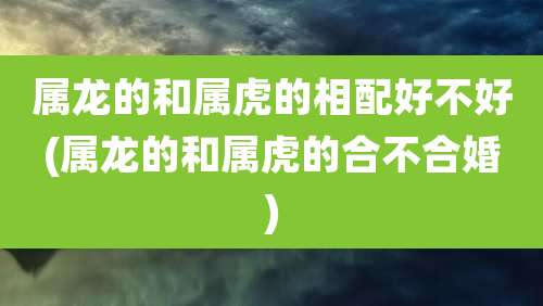 属龙的和属虎的相配好不好(属龙的和属虎的合不合婚)