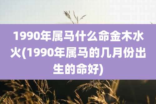 1990年属马什么命金木水火(1990年属马的几月份出生的命好)