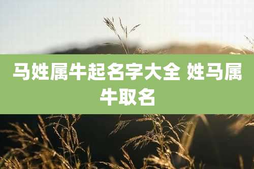 马姓属牛起名字大全 姓马属牛取名