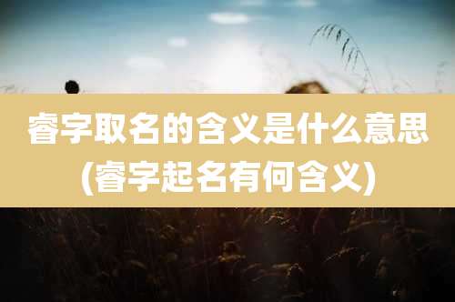 睿字取名的含义是什么意思(睿字起名有何含义)