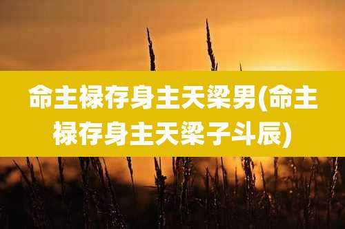 命主禄存身主天梁男(命主禄存身主天梁子斗辰)
