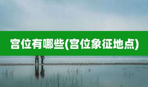 宫位有哪些(宫位象征地点)
