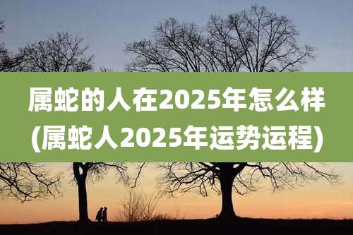 属蛇的人在2025年怎么样(属蛇人2025年运势运程)