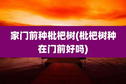 家门前种枇杷树(枇杷树种在门前好吗)
