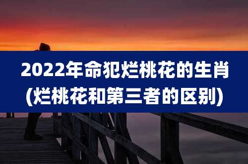 2022年命犯烂桃花的生肖(烂桃花和第三者的区别)