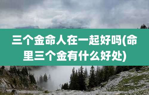 三个金命人在一起好吗(命里三个金有什么好处)
