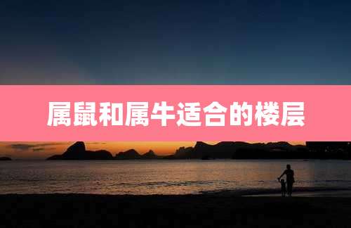 属鼠和属牛适合的楼层