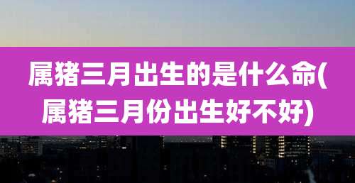 属猪三月出生的是什么命(属猪三月份出生好不好)