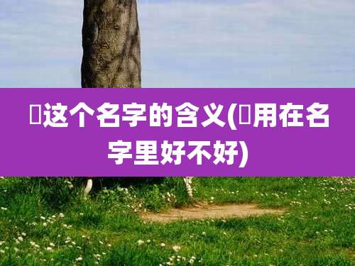 璟这个名字的含义(璟用在名字里好不好)