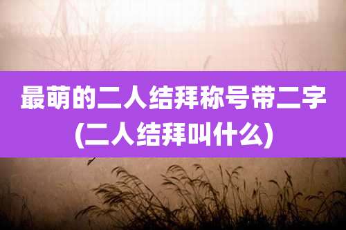 最萌的二人结拜称号带二字(二人结拜叫什么)