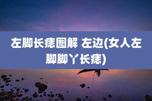 左脚长痣图解 左边(女人左脚脚丫长痣)