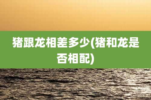 猪跟龙相差多少(猪和龙是否相配)