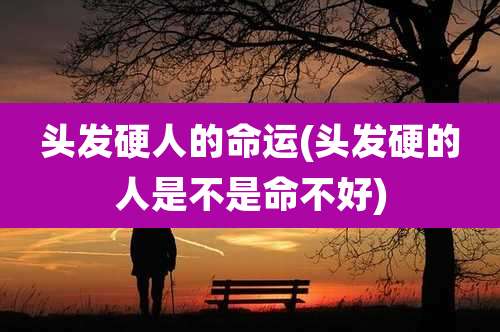 头发硬人的命运(头发硬的人是不是命不好)