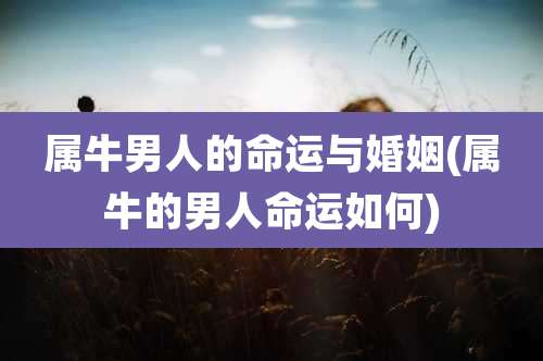 属牛男人的命运与婚姻(属牛的男人命运如何)